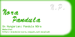nora pandula business card